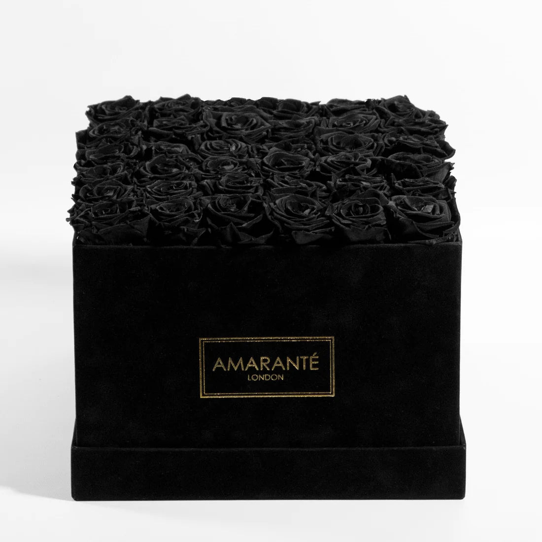 Black Roses Facts And Trivia From Yesterday And Today Amarante London black-roses-facts-and-trivia-from-yesterday-and-today-amarante-london