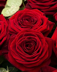 Close-up of premium red roses showing rich crimson petals with perfect spiral formation and fresh eucalyptus leaves, displaying the exquisite quality of luxury Valentine's flowers - Amarante London