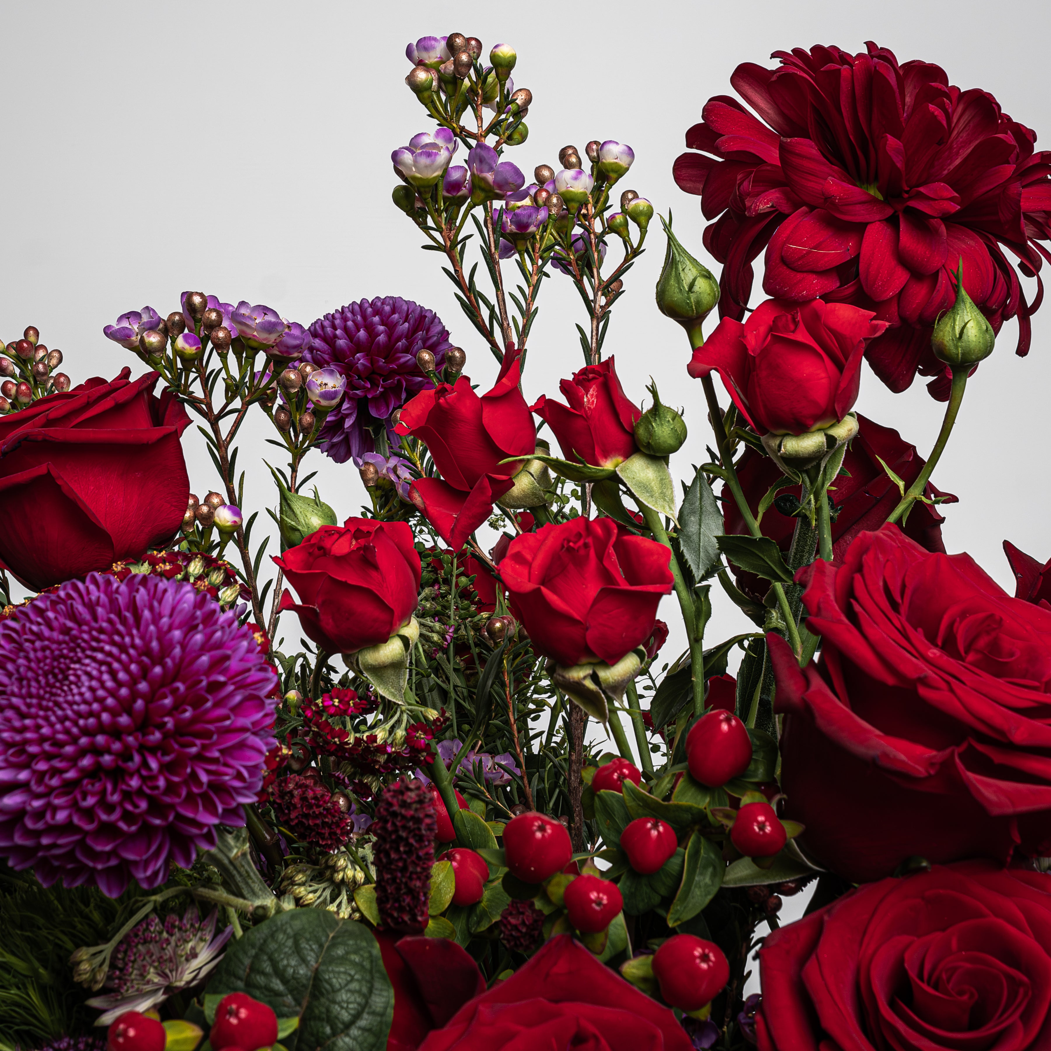 An exquisite Valentine's Day Bouquet from Amarante London, showcasing an enchanting mixture of fresh roses in hues of passionate red and sophisticated purple. This elegant and polished fresh flower bouquet exudes love and affection, perfect for expressing your timeless feelings this Vday. Revel in the luxurious chic of these captivating, mesmerising roses, arranged with refinement and class for the utmost sophistication. Free UK delivery available on this sophisticated, trendy, and timeless Valentine's Day