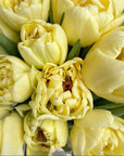 Close-up detail of butter-coloured double tulips showing layered ruffled petals in soft yellow and cream tones with dark centres and fresh green foliage - Amarante London