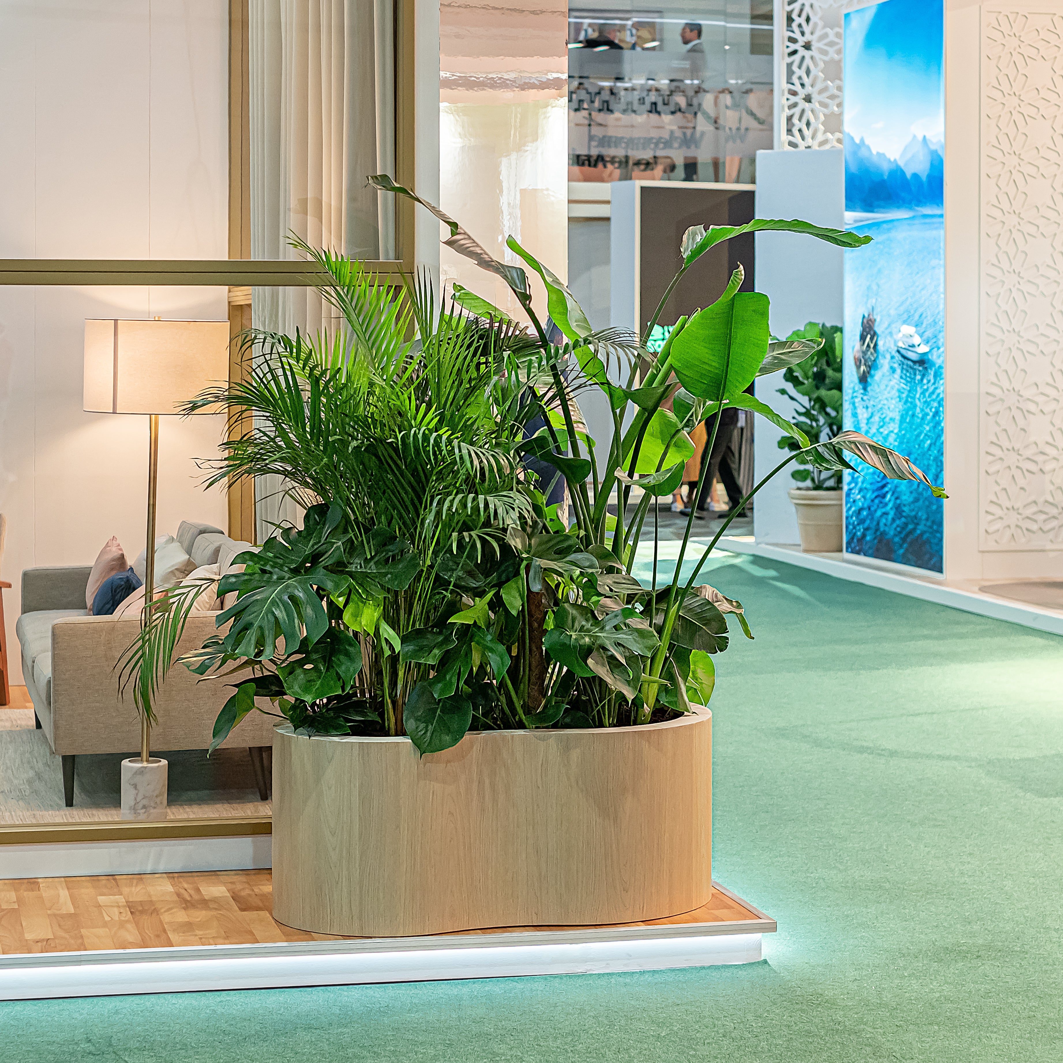 A single plant for hire presented as part of the plant installation for client Red Sea Global who wanted plants to create a natural décor style.