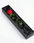 Open luxury gift box lined with black satin revealing single preserved red rose with natural green foliage, elegantly nestled in sophisticated packaging - Amarante London
