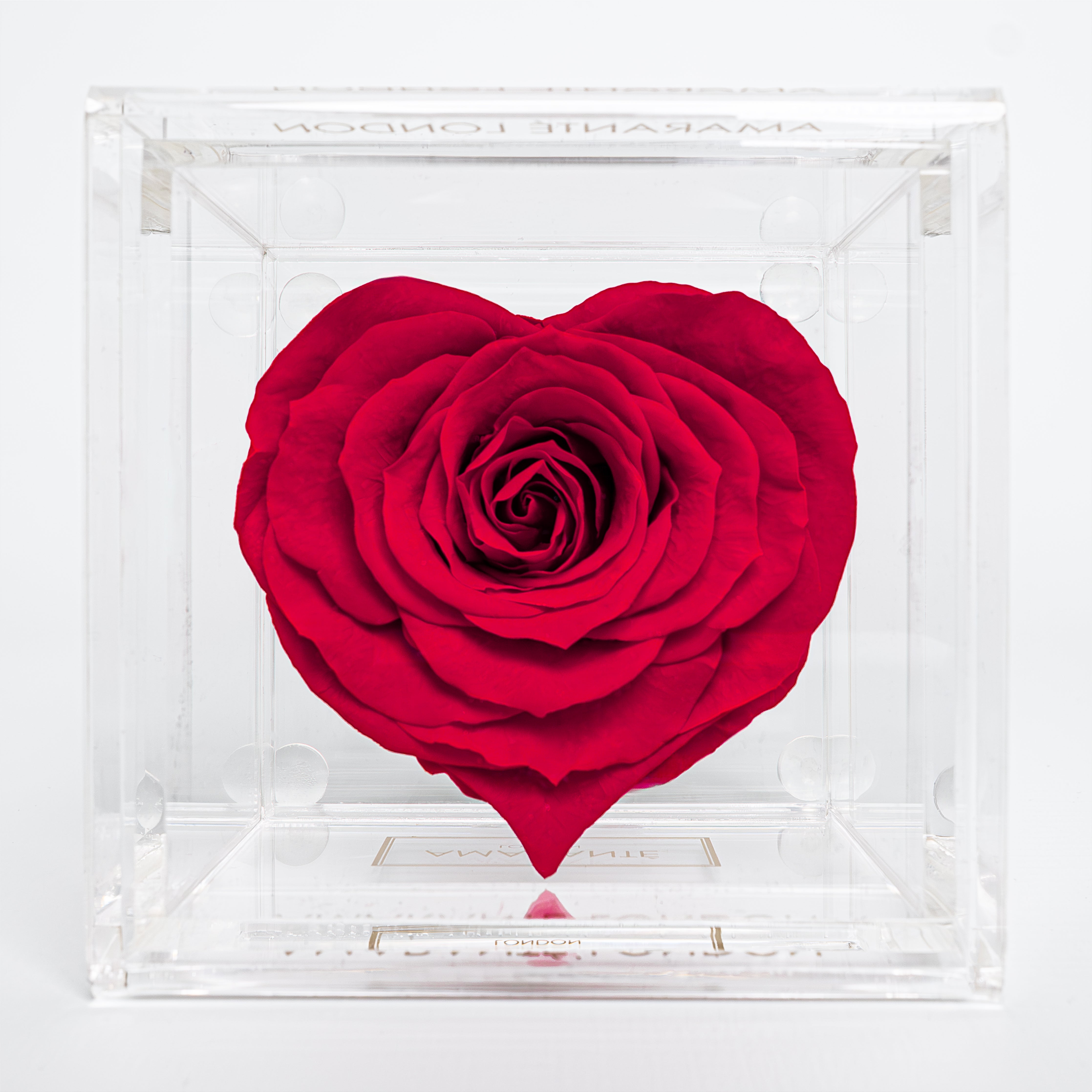 Single Red Infinity Rose in the shape of a heart, in a transparent acrylic box, ideal gift for Valentine's Day of to celebrate a special event with a loved one. 