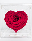 Single Red Infinity Rose in the shape of a heart, in a transparent acrylic box, ideal gift for Valentine's Day of to celebrate a special event with a loved one.