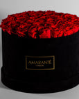 Divine red Roses in a modish black round extra large box.