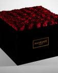 Dapper wine red Roses Entrenched in a stylish extra large black box.