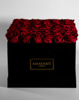 Alluring red Roses denoting romance, love, and admiration.