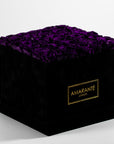 Magical dark purple coloured Roses denoting protection, security, and wisdom.