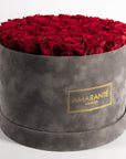 Dreamy dark red Roses, the perfect way of expressing strong feelings of love and romance.