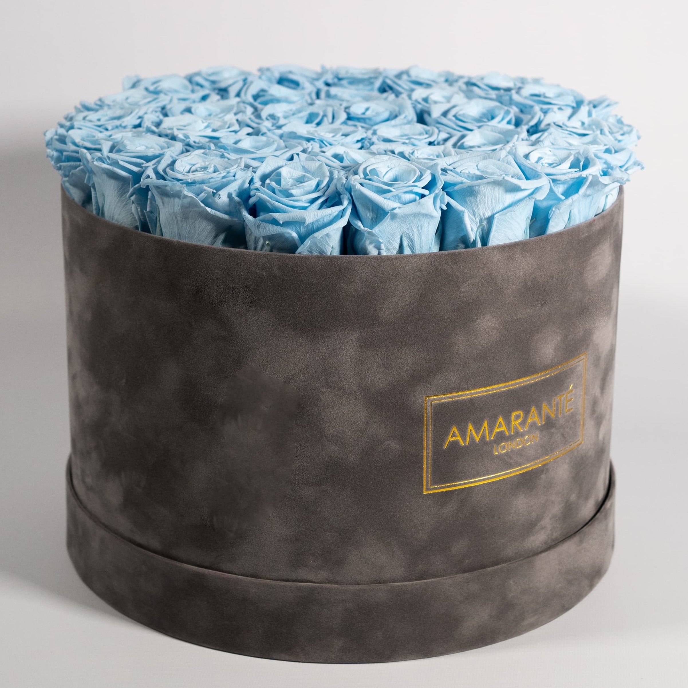 Stunning light blue Roses suggesting protection, healing, and health.