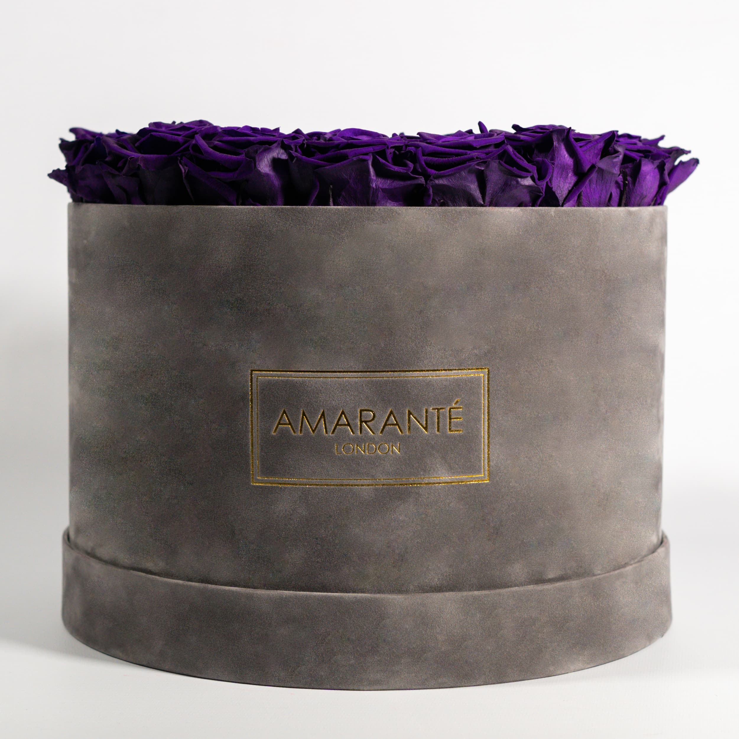 Gorgeous dark purple Roses representing wisdom and compassion.