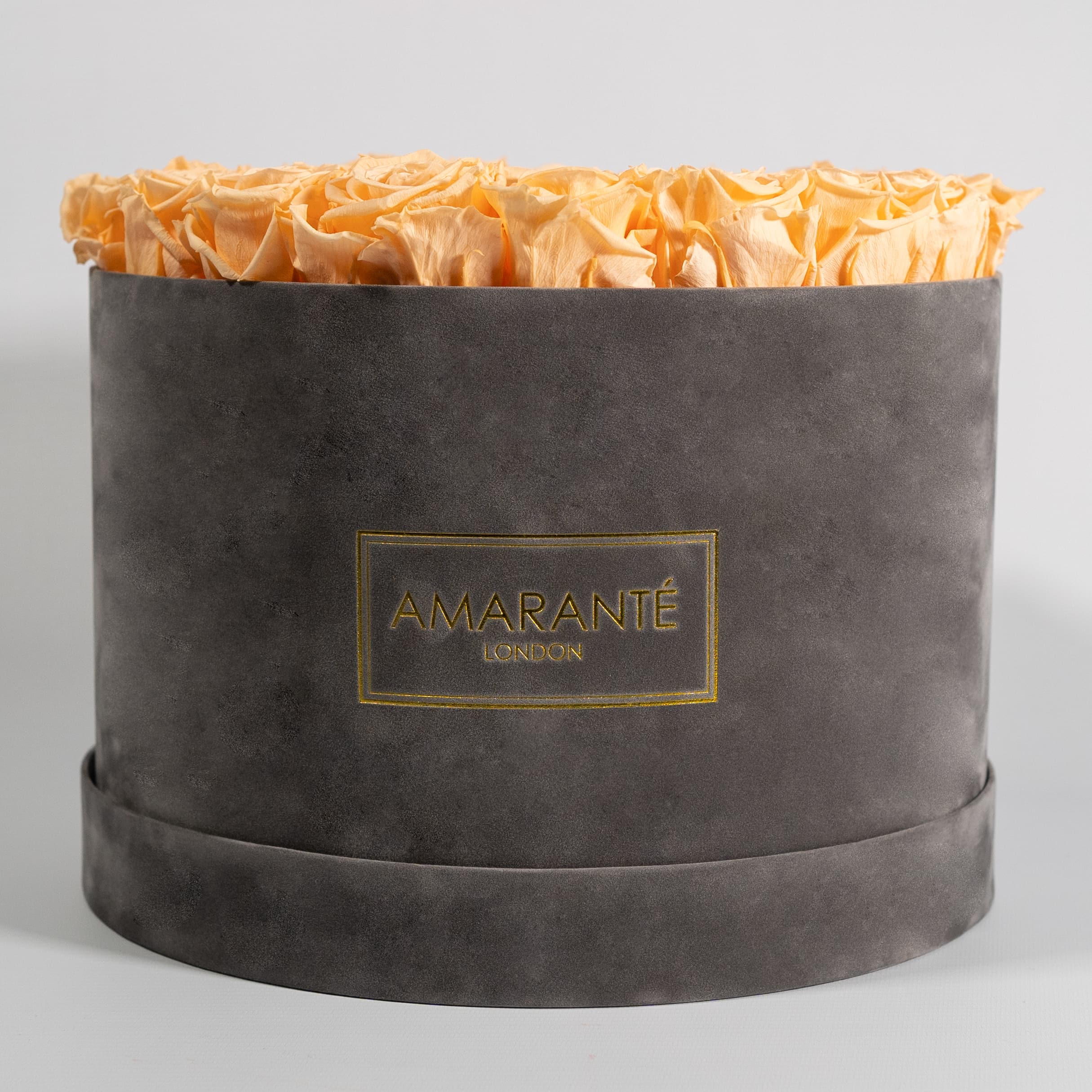 Elegant peach Roses, the perfect gift for a sibling or a friend, implying adventure and optimism.