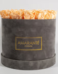 Warm peach Roses symbolising happiness joy, and optimism.