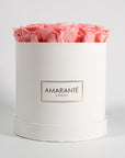 Delicate light pink Roses encompassed in a beautiful white box