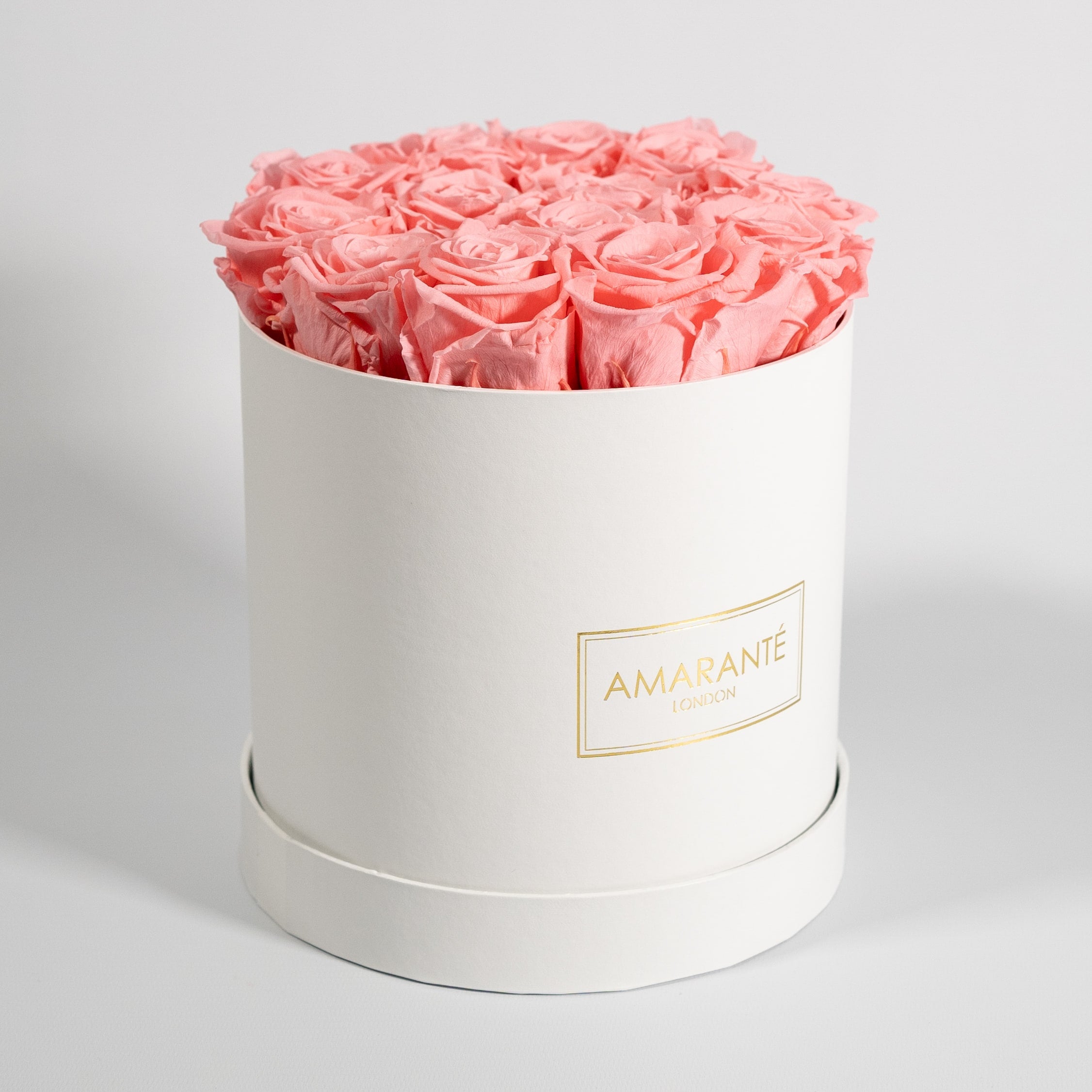 Aromatic light pink Roses implying gratitude, love, and beauty. 