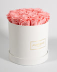 Aromatic light pink Roses implying gratitude, love, and beauty.