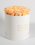 Tranquilising peach Roses shown in a sleek white box