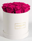 Expressive hot pink Roses denoting beauty, love, and sympathy.