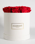 Magnificent red Roses connoting romance and love.
