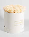 Charming champagne Roses photographed in a gorgeous white box