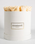Artful champagne Roses, an idyllic choice for any occasion.