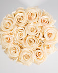 Chic champagne Roses connoting excitement, modesty, and class.