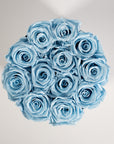 Dapper light blue Roses expressing protection and healing.