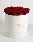 Abloom wine red Roses exhibited in a gorgeous white box