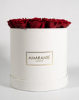 Idyllic wine red Roses implying romance and courage