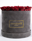 Gorgeous wine red roses in a modern grey large box