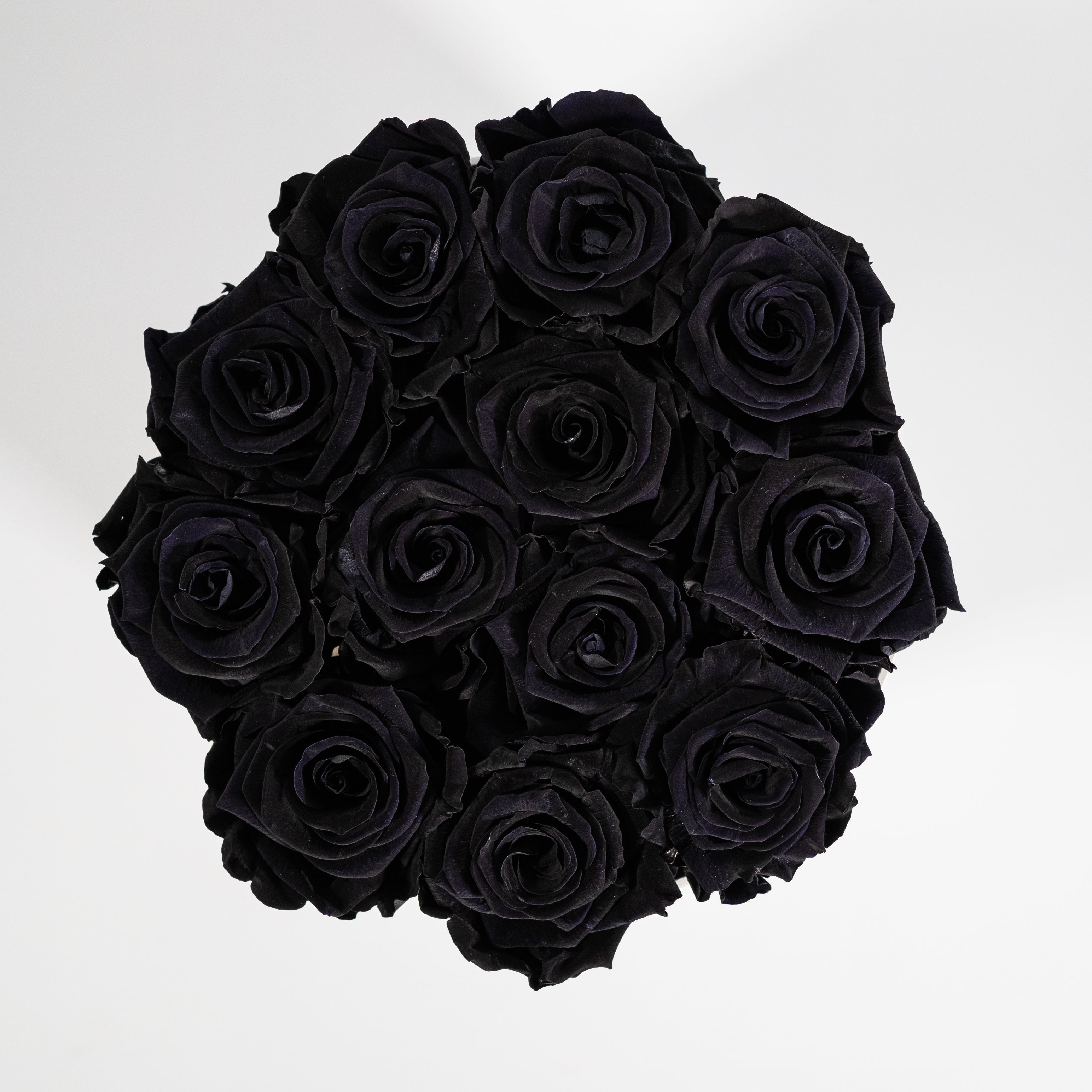 Exotic black Roses, the best choice for expressing sympathy and saying sorry