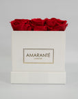 Delicate red roses connoting romance, and courage