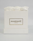 Captivating white roses suggesting balance and clarity