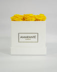 Stylish yellow roses expressing happiness and communication