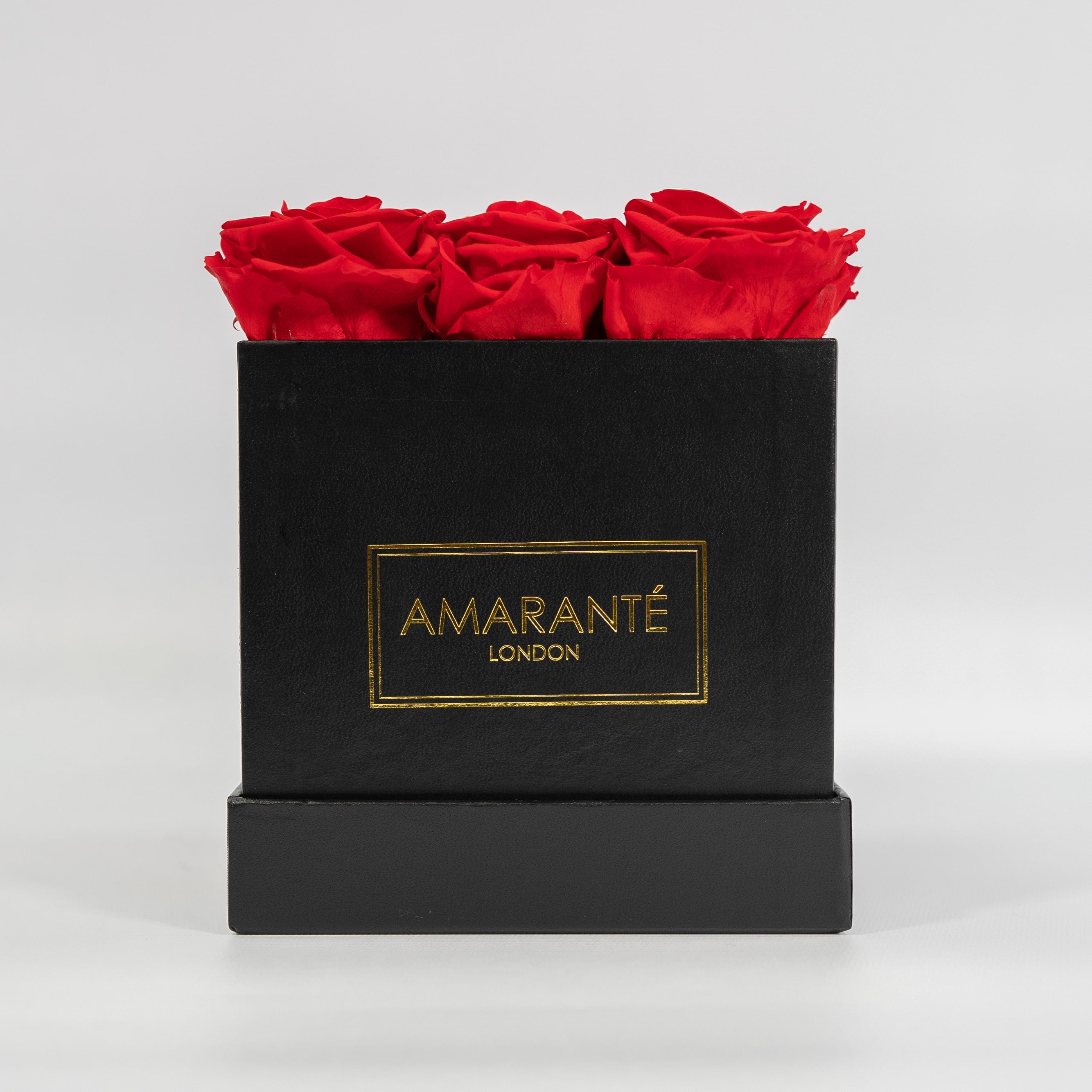 Dreamy red roses connoting love and romance 
