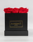 Dreamy red roses connoting love and romance