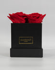 Divine red roses implying love and romance