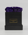 Enchanting dark purple roses suggesting magic and fantasy