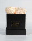 Dreamy champagne roses connoting excitement and celebration
