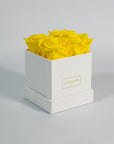 Majestic yellow roses connoting happiness and friendship