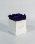 Luxurious royal blue roses exhibited in a sleek white box