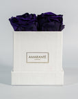 Enchanting royal blue roses implying protection and royalty.