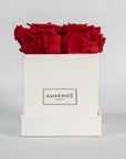 Magical red roses connoting love and romance