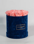 Tender light pink Roses featured in a stunning blue box