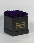 Enchanting dark purple roses encompassed in a modern black box