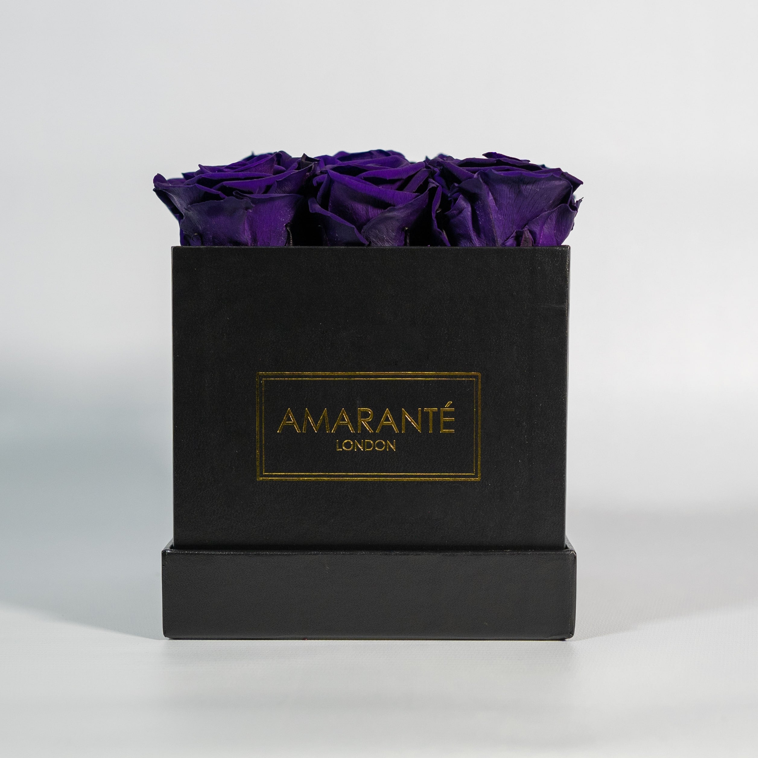 Exotic dark purple roses implying wisdom and creativity
