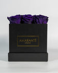 Exotic dark purple roses implying wisdom and creativity