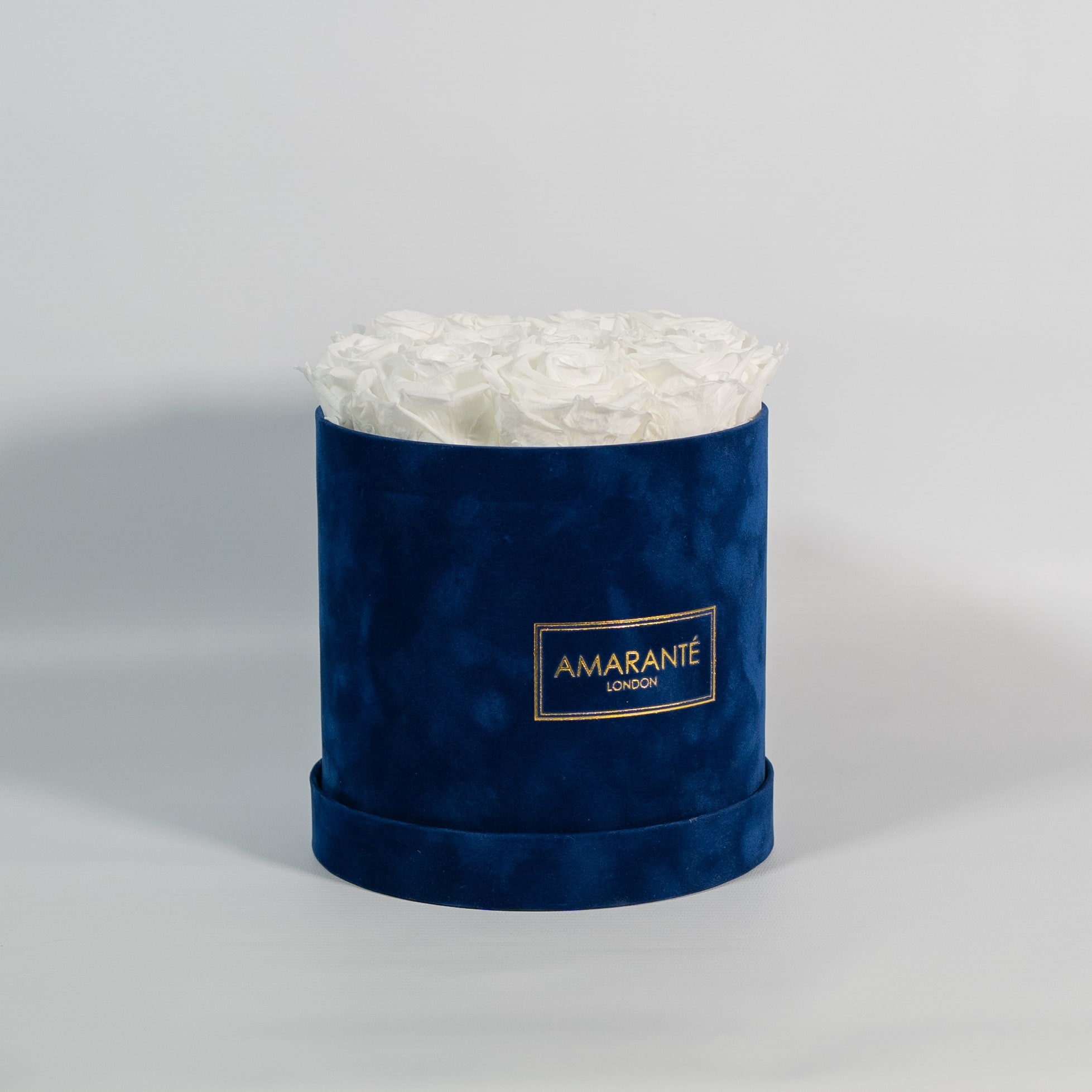 Enchanting white Roses displayed in a captivating blue box
