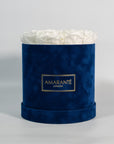 Captivating white Roses denoting peace, balance, and clarity.