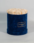 Charming champagne Roses in a chic blue box
